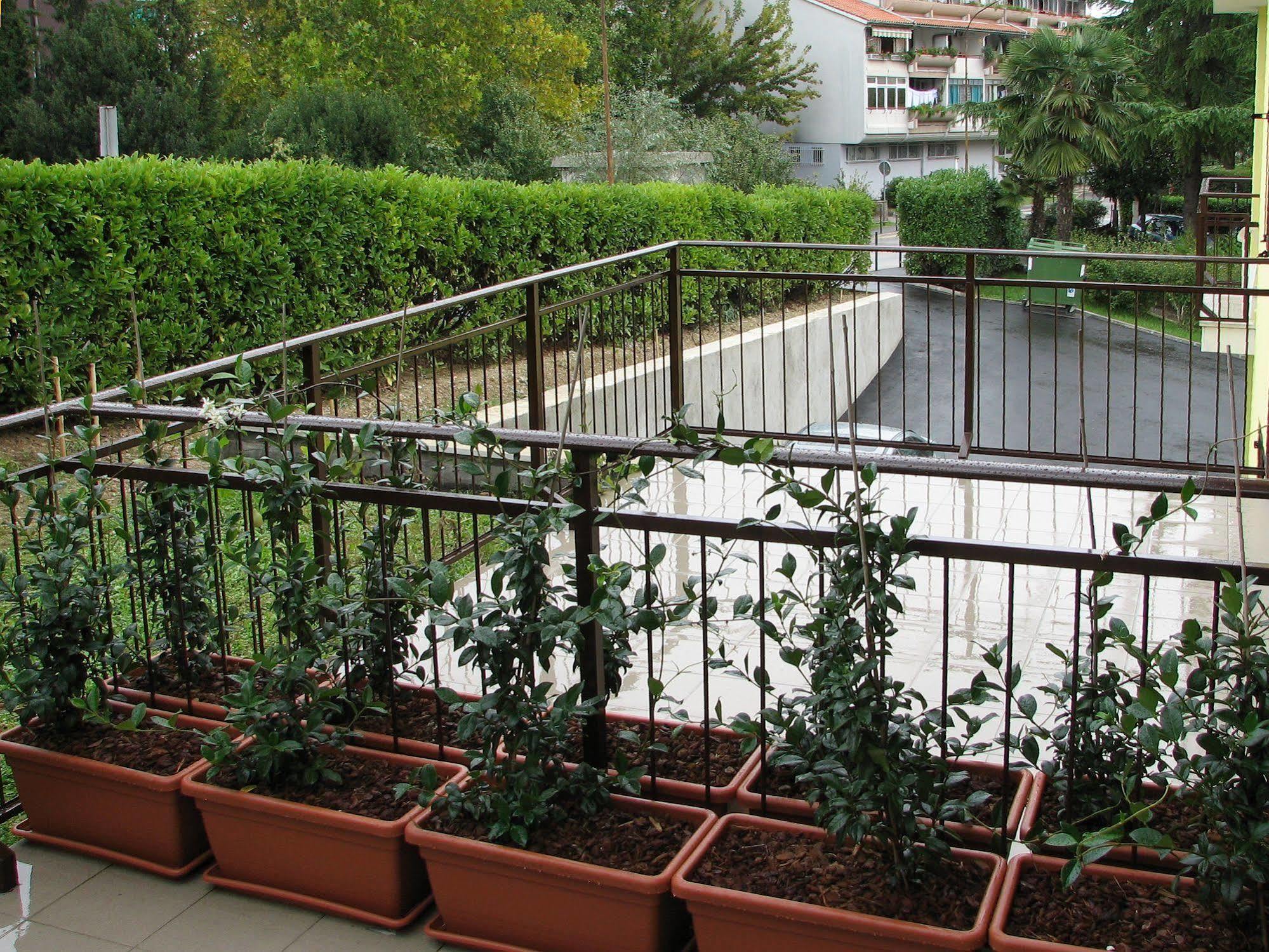 Garni Hotel Keltika Izola Exterior foto